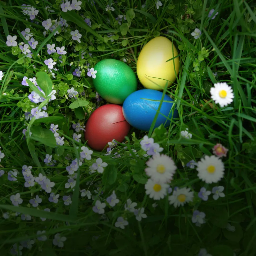 Image of multicolored easter eggs in the grass