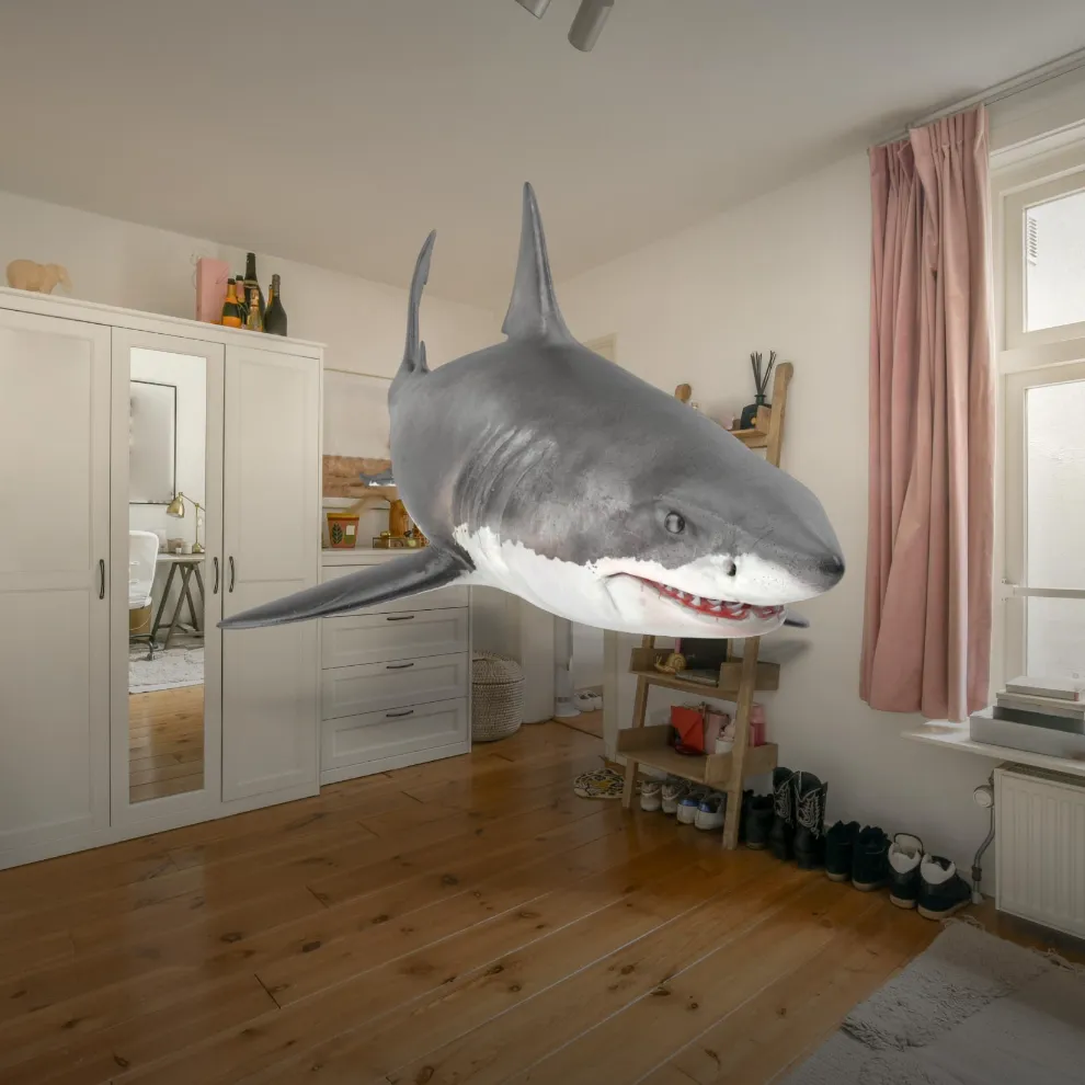 Image of shark in room using Google AR