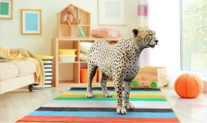 Image of AR cheetah in children's playroom
