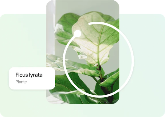 Image searching with circle to search