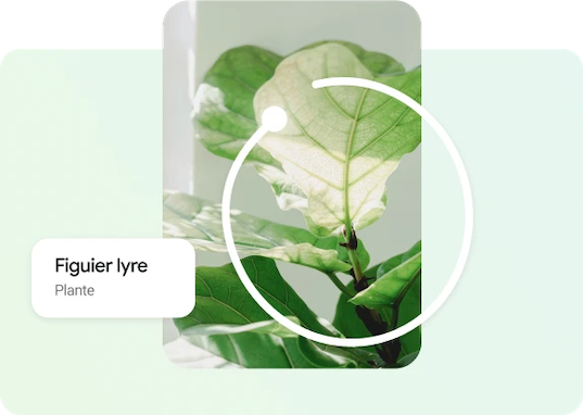 Image searching with circle to search