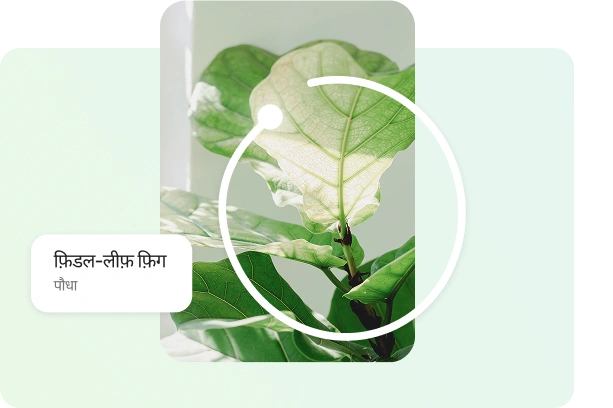 Image searching with circle to search