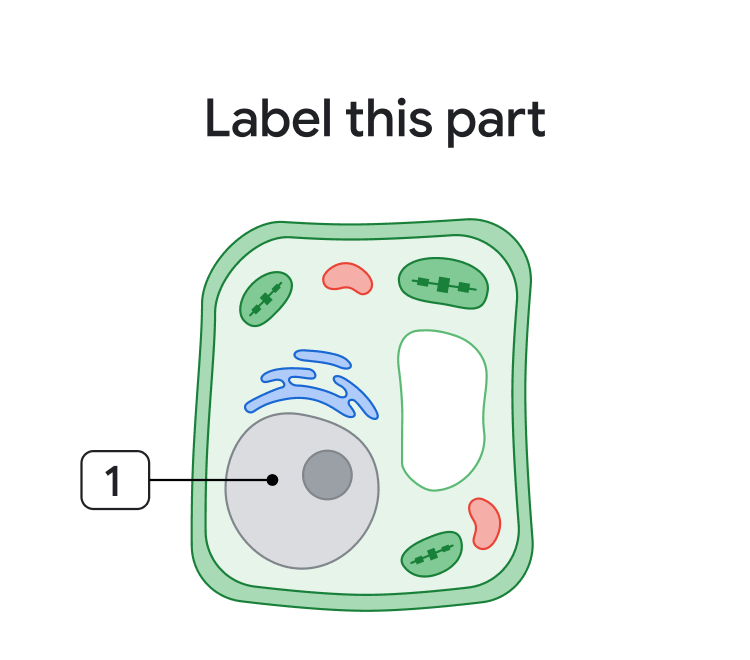 Label this part example